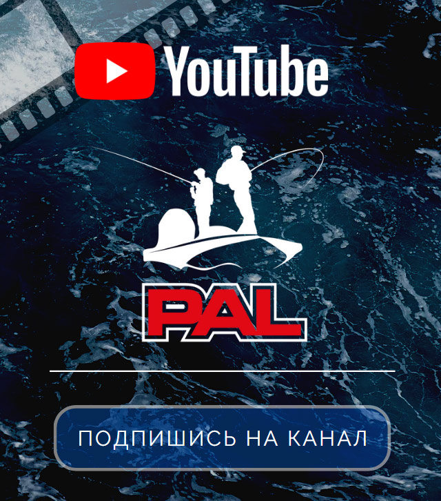 YouTube канал PAL