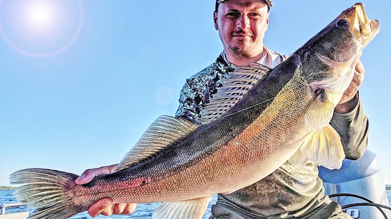 рыбалка юмор. смешные картинки для рыбака с надписью. 4 вопроса рыбаку. пруд. окунь зимой.